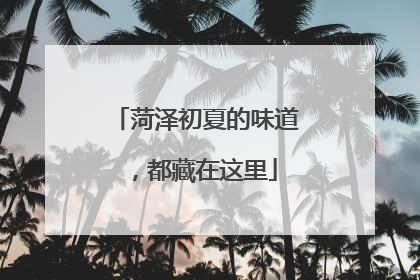 菏泽初夏的味道，都藏在这里