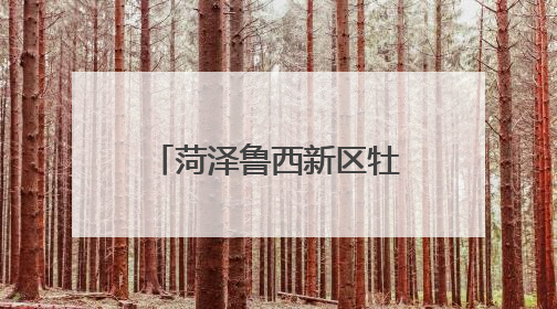 菏泽鲁西新区牡丹文创亮相第二十一届中国（深圳）国际文化产业博览交易会