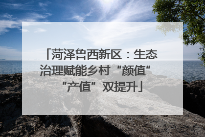 菏泽鲁西新区：生态治理赋能乡村“颜值”“产值”双提升