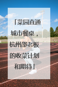菜园直通城市餐桌，杭州邵老板的收菜计划和期待