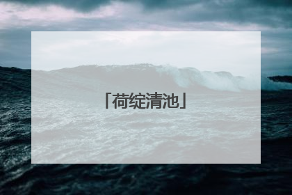 荷绽清池