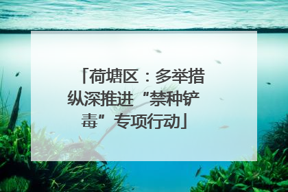 荷塘区：多举措纵深推进“禁种铲毒”专项行动