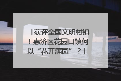获评全国文明村镇！惠济区花园口镇何以“花开满园”？