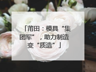 莆田：模具“集团军”，助力制造变“质造”