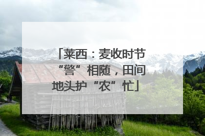 莱西：麦收时节“警”相随，田间地头护“农”忙