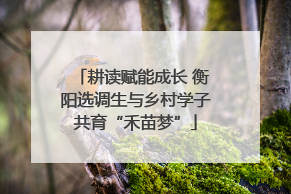 耕读赋能成长 衡阳选调生与乡村学子共育“禾苗梦”