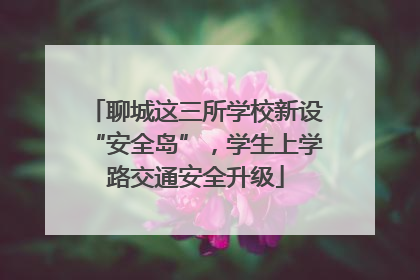 聊城这三所学校新设“安全岛”，学生上学路交通安全升级