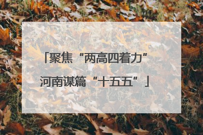 聚焦“两高四着力” 河南谋篇“十五五”