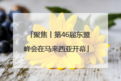 聚焦丨第46届东盟峰会在马来西亚开幕