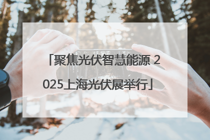 聚焦光伏智慧能源 2025上海光伏展举行
