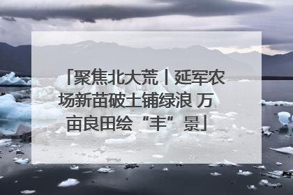 聚焦北大荒丨延军农场新苗破土铺绿浪 万亩良田绘“丰”景