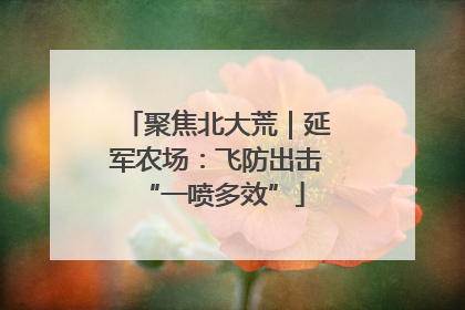聚焦北大荒｜延军农场：飞防出击 “一喷多效”