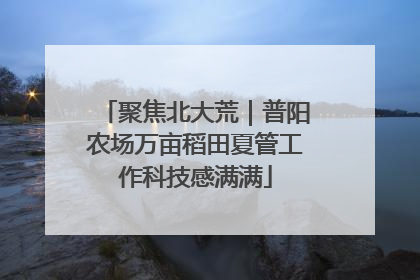聚焦北大荒｜普阳农场万亩稻田夏管工作科技感满满