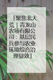 聚焦北大荒｜青龙山农场有限公司：基层民兵参与农业环境综合治理显效