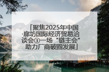 聚焦2025年中国·廊坊国际经济贸易洽谈会③一场“链主会” 助力厂商破圈发展