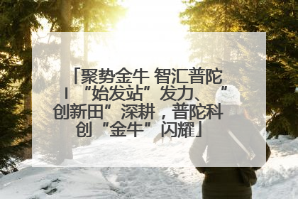 聚势金牛 智汇普陀〡“始发站”发力、“创新田”深耕，普陀科创“金牛”闪耀