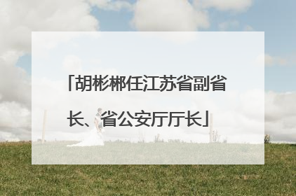 胡彬郴任江苏省副省长、省公安厅厅长