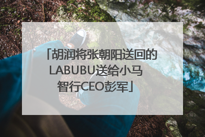 胡润将张朝阳送回的LABUBU送给小马智行CEO彭军