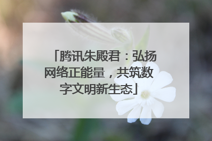 腾讯朱殿君：弘扬网络正能量，共筑数字文明新生态