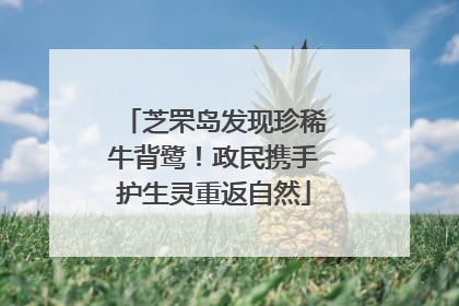 芝罘岛发现珍稀牛背鹭！政民携手护生灵重返自然