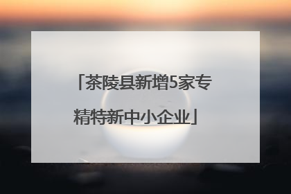 茶陵县新增5家专精特新中小企业