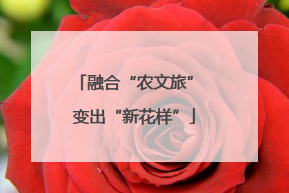 融合“农文旅” 变出“新花样”