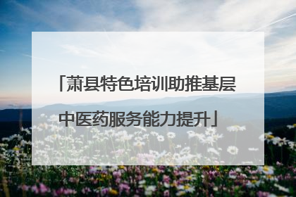 萧县特色培训助推基层中医药服务能力提升