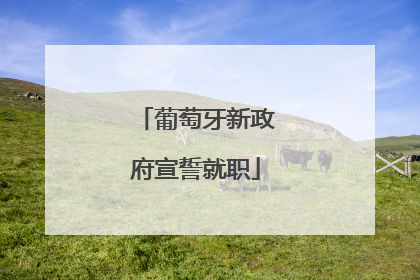 葡萄牙新政府宣誓就职
