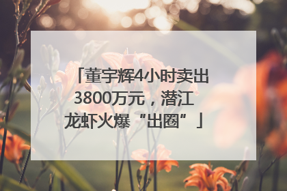 董宇辉4小时卖出3800万元，潜江龙虾火爆“出圈”