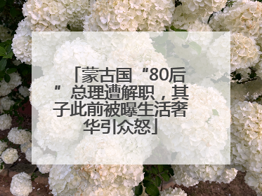 蒙古国“80后”总理遭解职，其子此前被曝生活奢华引众怒