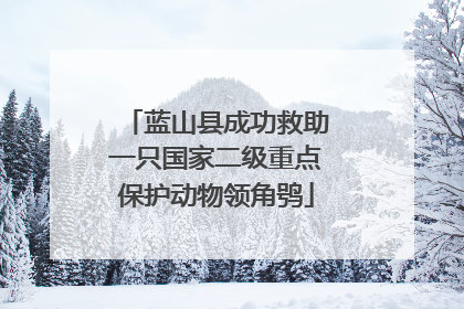 蓝山县成功救助一只国家二级重点保护动物领角鸮