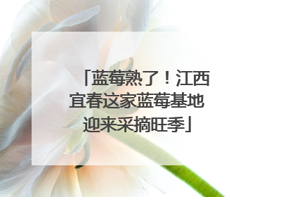 蓝莓熟了！江西宜春这家蓝莓基地迎来采摘旺季