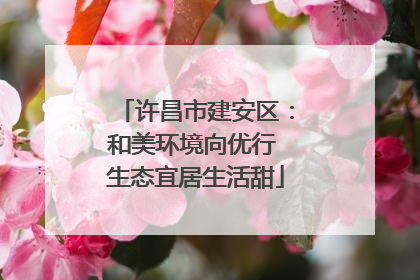 许昌市建安区：和美环境向优行 生态宜居生活甜