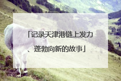 记录天津港链上发力、蓬勃向新的故事