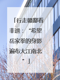 行走赣鄱看非遗：“希望岳家拳的身影遍布大江南北”