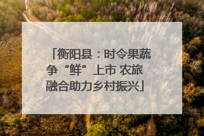 衡阳县：时令果蔬争“鲜”上市 农旅融合助力乡村振兴