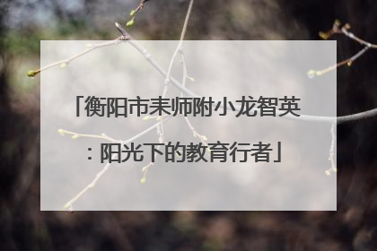 衡阳市耒师附小龙智英：阳光下的教育行者