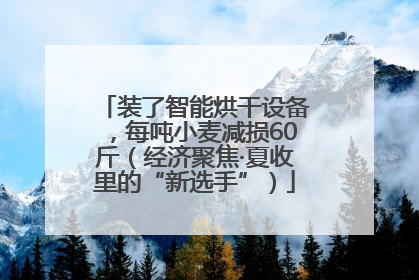 装了智能烘干设备，每吨小麦减损60斤（经济聚焦·夏收里的“新选手”）