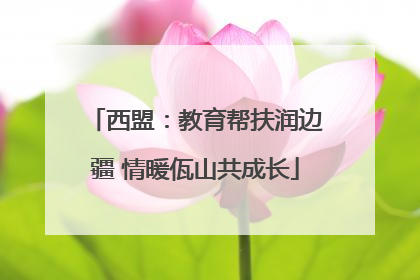 西盟：教育帮扶润边疆 情暖佤山共成长