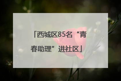 西城区85名“青春助理”进社区