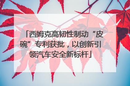 西姆克高韧性制动“皮碗”专利获批，以创新引领汽车安全新标杆