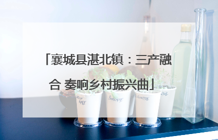 襄城县湛北镇：三产融合 奏响乡村振兴曲