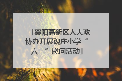 襄阳高新区人大政协办开展魏庄小学“六一”慰问活动