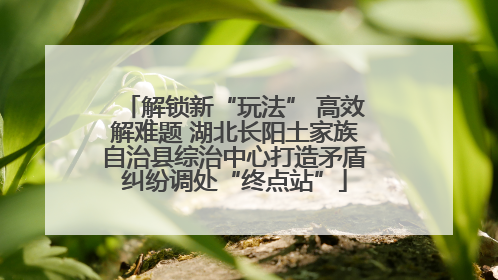 解锁新“玩法” 高效解难题 湖北长阳土家族自治县综治中心打造矛盾纠纷调处“终点站”
