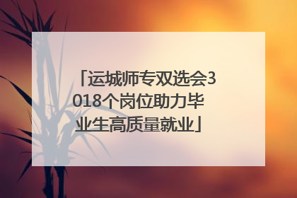 运城师专双选会3018个岗位助力毕业生高质量就业