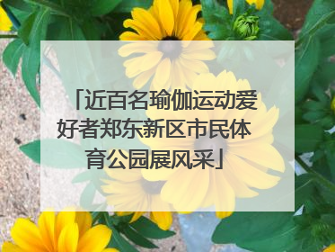 近百名瑜伽运动爱好者郑东新区市民体育公园展风采