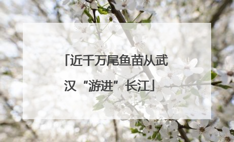 近千万尾鱼苗从武汉“游进”长江