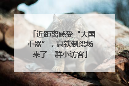 近距离感受“大国重器”，高铁制梁场来了一群小访客