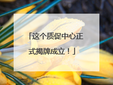这个质促中心正式揭牌成立！