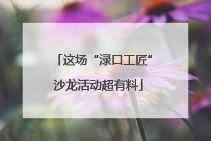 这场“渌口工匠”沙龙活动超有料